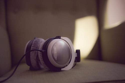 beyerdynamic DT 880 Edition Over-Ear Kopfhörer, Silbergrau, 600 Ohm Bild 5