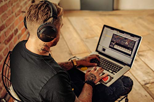 beyerdynamic DT 1770 PRO Over-Ear-Studiokopfhörer in schwarz. Geschlossene Bauweise, steckbares Kabel 17.78 x 21.59 x 10.16 cm Bild 2