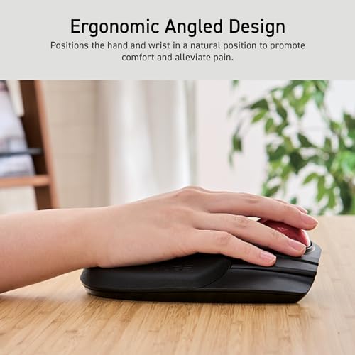 ELECOM 2,4 GHz kabellose Fingerbedienung, große Trackball-Maus, 8-Tasten-Funktion mit glatter Tracking, präziser optischer Gaming-Sensor, Handballenauflage (M-HT1DRBK) Bild 2