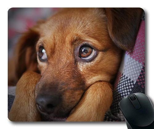 Custom - Mousepad, Spiele der Kleine Hund Maus - Pads, Hund süße Tiere Hund Sieht der Hund traurig, der Hund Gaming Mouse pad Bild 1