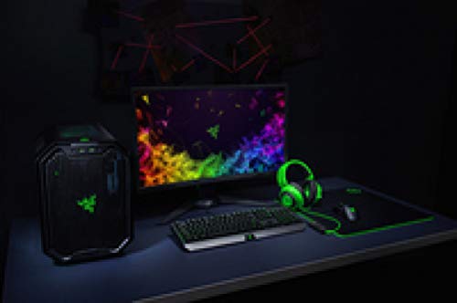 Razer Kraken Tournament Edition - Esports Gaming Headset (Kabelgebundenes Gaming Headphones mit USB-Audio-Controller, THX Spatial Audio, 50-mm-Treiber, Plattformübergreifende Kompatibilität) Grün Bild 2