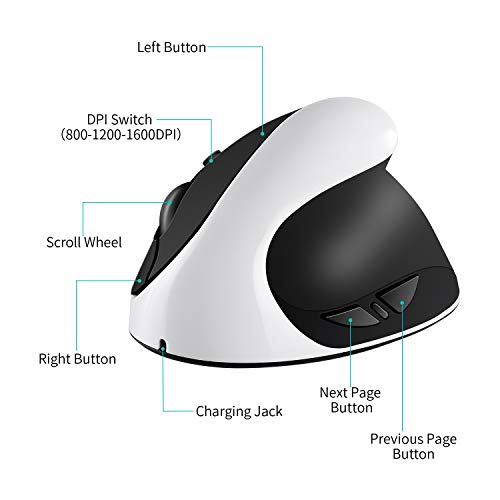 AURTEC Vertikale Maus, Wiederaufladbare 2.4G Wireless-Mäuse mit USB-Empfänger, 6 Tasten und 3 Einstellbaren DPI 800/1200/1600, Weiß Bild 5