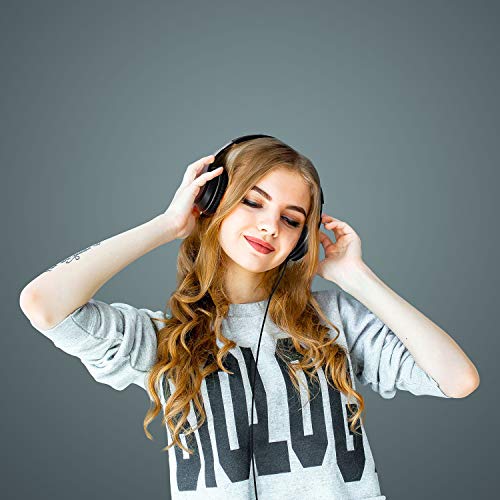 LORELEI X6 Over-Ear Headphones with Microphone, Lightweight Foldable & Portable Stereo Bass Headphones with 1.45M No-Tangle, Wired Headphones for Smartphone Tablet MP3 / 4 (Space Black) Bild 6