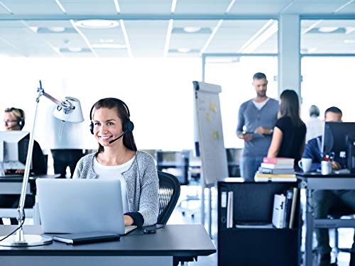 Jabra Evolve 20 SE Stereo Headset, USB-C Kabel mit Anrufsteuerung, Microsoft Teams zertifiziert, Schwarz Bild 6