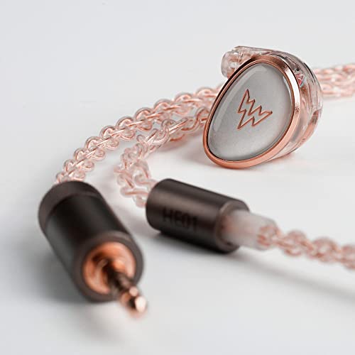 Whizzer HE01 In Ear Monitor Kopfhörer, HiFi IEM Ohrhörer mit abnehmbarem Kabel, geräuschisolierendes Musiker-Headset mit dynamischem Treiber, HiFi Ohrhörer für Smartphones und Audio-Player Bild 5