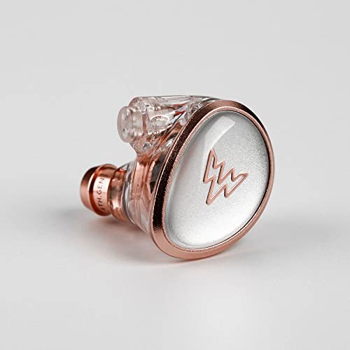 Whizzer HE01 In Ear Monitor Kopfhörer, HiFi IEM Ohrhörer mit abnehmbarem Kabel, geräuschisolierendes Musiker-Headset mit dynamischem Treiber, HiFi Ohrhörer für Smartphones und Audio-Player Bild 6