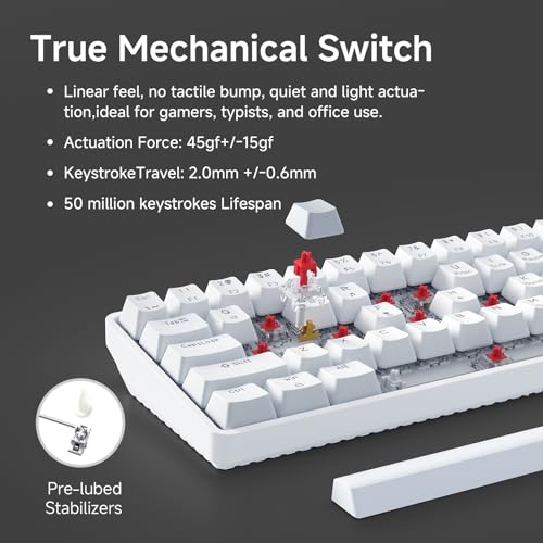 Dierya×TMKB T68se Gaming Mechanische Tastatur,60% Prozent Tastatur,Ultra-Compact Mini 68 Tasten Anti-Ghosting,Typ-C-Datenkabel,US Layout für PC Windows Gamer Typist,Red Linear Switch Bild 4