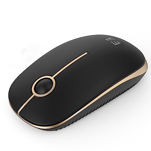 seenda Maus Kabellos, 2,4G Funkmaus mit 1600 DPI für PC/Laptop/Linux, 3 Leise Tasten, Für Links- und Rechtshänder, 18 Monate Akkulaufzeit (Schwarz und Gold) Bild 1