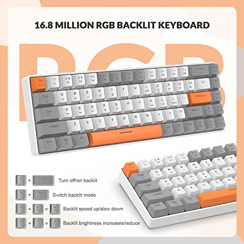 YINDIAO T8 60% RGB Gaming Tastatur und Maus Set + Gewendeltes USB-C Kabel,Kabelgebundene Mechanische Tastatur,68 Tasten TKL Compact Layout,Maus mit Wabenstruktur,Bis zu 6400DPI,für PC PS5 -Hellgrau Bild 4