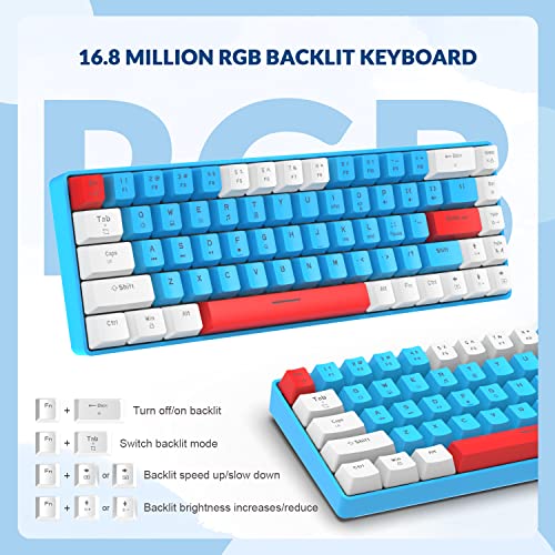 YINDIAO T8 60% RGB Gaming Tastatur und Maus Set + Gewendeltes USB-C Kabel,Kabelgebundene Mechanische Tastatur,68 Tasten TKL Compact Layout,Maus mit Wabenstruktur,Bis zu 6400DPI,für PC MAC PS5 -Blau Bild 4