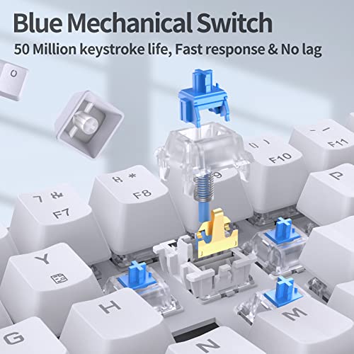 TMKB Mechanische Gaming Tastatur, T68se 60% Prozent Tastatur mit USB Kabel, Anti Ghosting QWERTY Layout Mini Blue Switches Keyboard für PC Windows/Mac OS, Weiß Bild 2