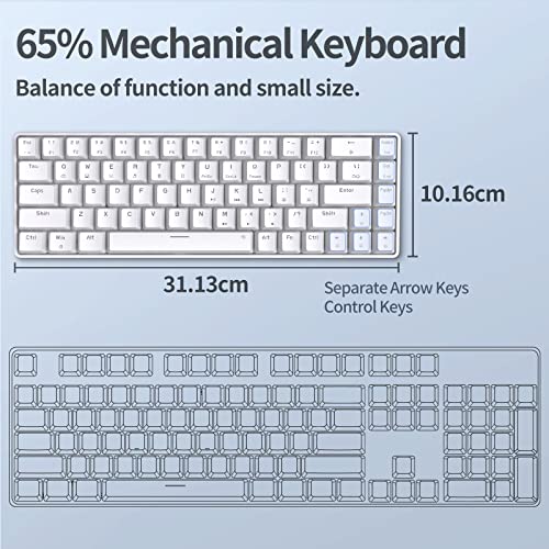 TMKB Mechanische Gaming Tastatur, T68se 60% Prozent Tastatur mit USB Kabel, Anti Ghosting QWERTY Layout Mini Blue Switches Keyboard für PC Windows/Mac OS, Weiß Bild 3