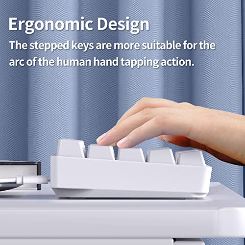 TMKB Mechanische Gaming Tastatur, T68se 60% Prozent Tastatur mit USB Kabel, Anti Ghosting QWERTY Layout Mini Blue Switches Keyboard für PC Windows/Mac OS, Weiß Bild 4