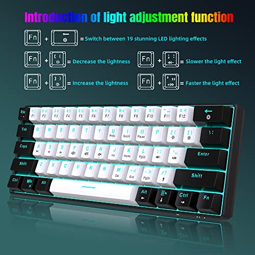 Snpurdiri 60% kabelgebundene mechanische Gaming-Tastatur, 61 Anti-Ghosting-Tasten, Blaue LED-Hintergrundbeleuchtung, ultrakompakte Zwei Ständer(Braune Schalter/Schwarz Weiß) Bild 4