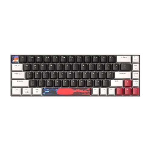 SOLIDEE Mechanische Gaming-Tastatur, 65%, 68 Tasten mit linearem rotem Schalter, mechanische Tastatur mit LED-Hintergrundbeleuchtung, kompakte Tastatur mit Typ-C-Kabel, für PS5/PS4 (68 White_Black) Bild 2