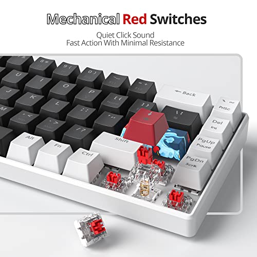 SOLIDEE Mechanische Gaming-Tastatur, 65%, 68 Tasten mit linearem rotem Schalter, mechanische Tastatur mit LED-Hintergrundbeleuchtung, kompakte Tastatur mit Typ-C-Kabel, für PS5/PS4 (68 White_Black) Bild 4