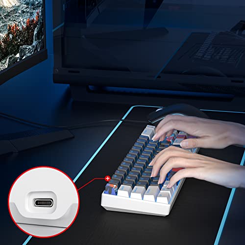 SOLIDEE Mechanische Gaming-Tastatur, 65%, 68 Tasten mit linearem rotem Schalter, mechanische Tastatur mit LED-Hintergrundbeleuchtung, kompakte Tastatur mit Typ-C-Kabel, für PS5/PS4 (68 White_Black) Bild 6
