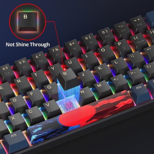 SOLIDEE mechanische Gaming-Tastatur 65%, 68 Tasten mit Linearen roten Schaltern, kabelgebunden mit LED-Hintergrundbeleuchtung, gemischtes Licht, kompakt (68 Black-Blue) Bild 2