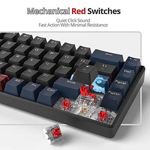 SOLIDEE mechanische Gaming-Tastatur 65%, 68 Tasten mit Linearen roten Schaltern, kabelgebunden mit LED-Hintergrundbeleuchtung, gemischtes Licht, kompakt (68 Black-Blue) Bild 4