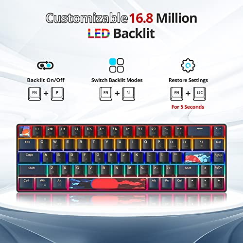 SOLIDEE mechanische Gaming-Tastatur 65%, 68 Tasten mit Linearen roten Schaltern, kabelgebunden mit LED-Hintergrundbeleuchtung, gemischtes Licht, kompakt (68 Black-Blue) Bild 5