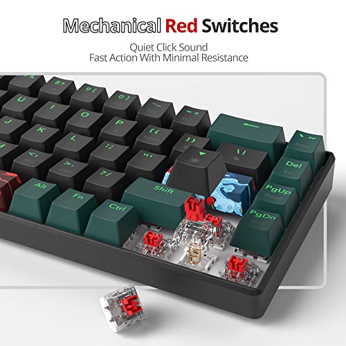 SOLIDEE mechanische Gaming Tastatur 65%,68 Tasten mit Lineare rote Schalter,kabelgebundene mechanische Tastatur mit LED-Hintergrundbeleuchtung,gemischtes Licht kompakte(68 Black-Green) Bild 3