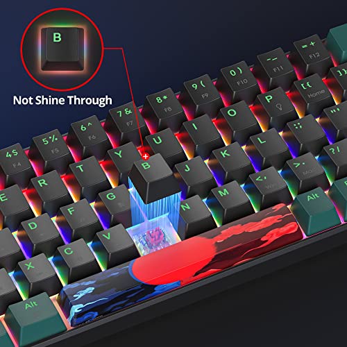 SOLIDEE mechanische Gaming Tastatur 65%,68 Tasten mit Lineare rote Schalter,kabelgebundene mechanische Tastatur mit LED-Hintergrundbeleuchtung,gemischtes Licht kompakte(68 Black-Green) Bild 6