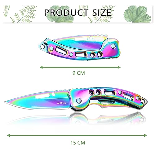 2 Stück Klein Klappmesser, Messer Taschenmesser, Taschenmesser mit Klappmesser, Mini EDC Outdoor Zweihandmesser für Outdoor, Camping,Survival (Bunte) Bild 2