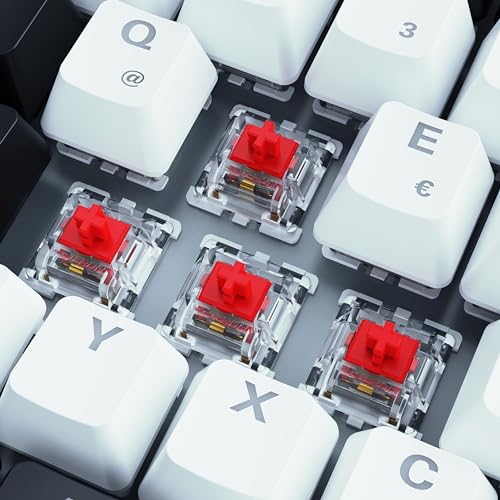 Sharkoon Skiller SGK50 S3 Weiß, RGB Gaming Keyboard, Gateron Red, 75% Layout Bild 3