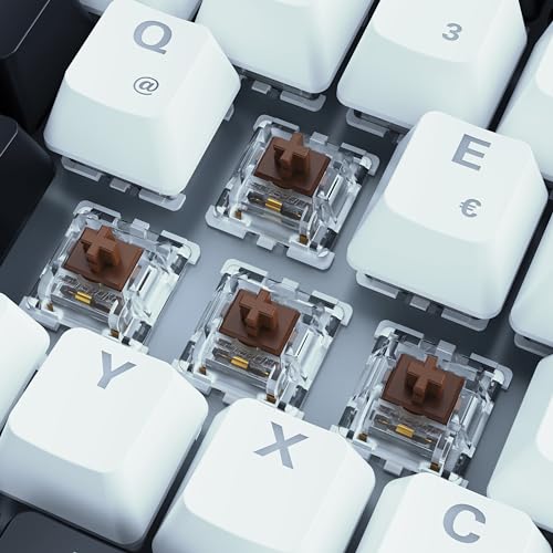 Sharkoon Skiller SGK50 S3 Weiß, RGB Gaming Keyboard, Gateron Brown, 75% Layout Bild 3