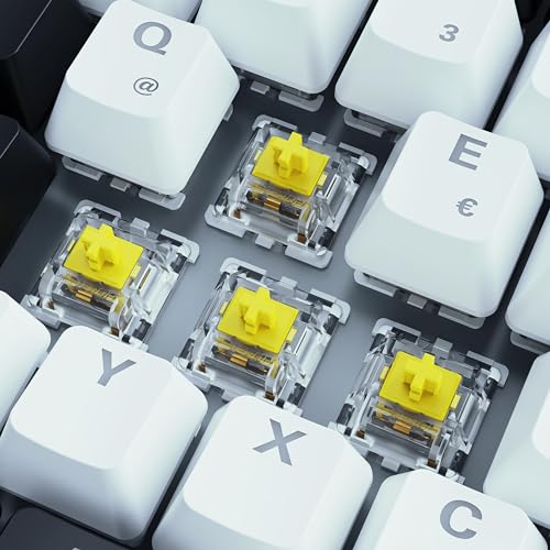 Sharkoon Skiller SGK50 S3 Weiß, RGB Gaming Keyboard, 75% Layout Bild 3