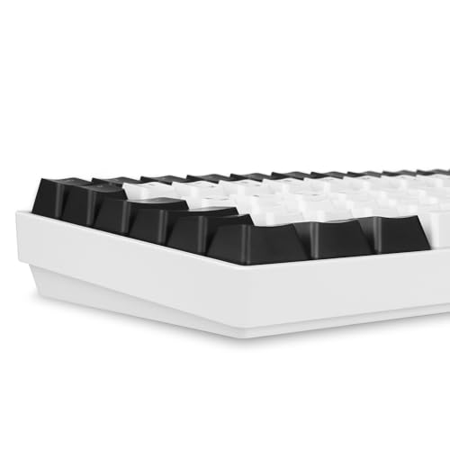Sharkoon Skiller SGK50 S3 Weiß, RGB Gaming Keyboard, 75% Layout Bild 5