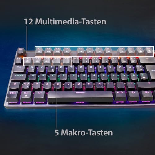 Eaxus® USB Tastatur und Maus Set - Mechanische Gaming Tastatur LED Gaming Keyboard mit Blue Switches + Ergonon Vertikale Maus kabellos Bild 3