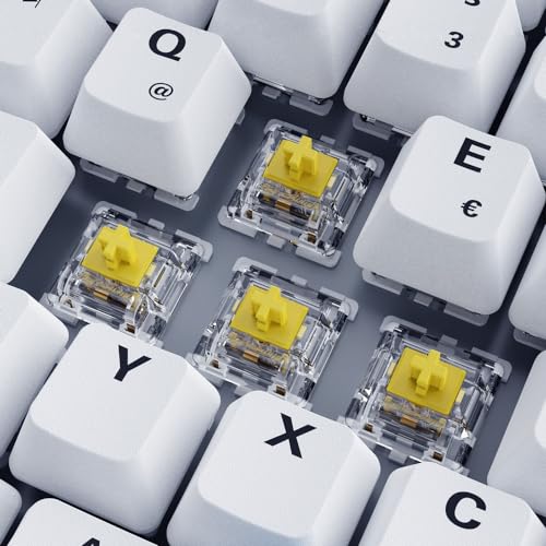 Sharkoon Skiller SGK50 S3 PBT Weiß, RGB Gaming Keyboard, 75% Layout Bild 3