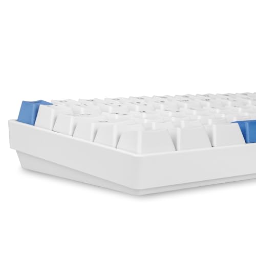 Sharkoon Skiller SGK50 S3 PBT Weiß, RGB Gaming Keyboard, 75% Layout Bild 5