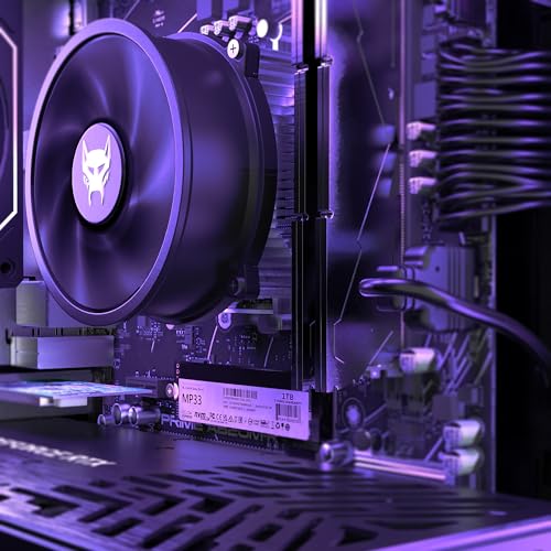 BEASTCOM Q5 | Gaming PC Set Bundle | AMD Ryzen 7 5700X 8X 4,60GHz 16 Threads, RTX 5060 8GB, 16GB RAM, 1TB NVMe SSD, Monitor LED 27" + RGB Tastatur + Maus + Mauspad, HDMI, WLAN, Win 11 Bild 6
