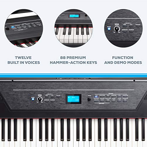 Alesis Recital Pro - E Piano 88 Tasten mit Gewichteten Volle Größe Klavier & Logitech G432 kabelgebundenes Gaming-Headset Bild 3