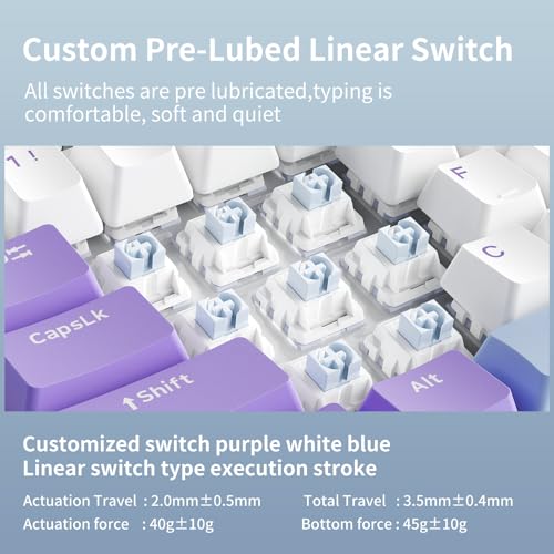 AJAZZ AK820 Wired Mechanical Keyboard, 75% Gaming Keyboard with Volume Control Knob, QWERTY Layout, 82 Keys, Five-Layer Sound Insulation Pad, South-Oriented RGB, Full-Key Hot Swap, Blue White Purple Bild 3