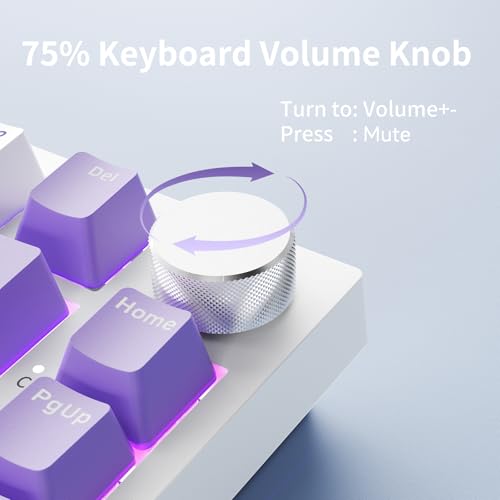 AJAZZ AK820 Wired Mechanical Keyboard, 75% Gaming Keyboard with Volume Control Knob, QWERTY Layout, 82 Keys, Five-Layer Sound Insulation Pad, South-Oriented RGB, Full-Key Hot Swap, Blue White Purple Bild 4
