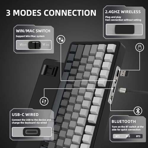 AJAZZ x Attack Shark X85 Mechanische Tastatur,75% Kabellose Gaming-Tastatur mit Knopf,5-Lagige Polsterung,Seitlich Bedruckte PBT-Tastenkappe,BT5,1/2,4 GHz/USB-C,Hot-Swap-Linearschalter,RGB,für PC,MAC Bild 4