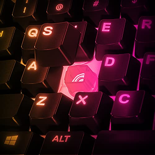 SteelSeries Apex 3 TKL - RGB Gaming-Tastatur & Razer DeathAdder Essential (2021) - Essentielle Gaming-Maus mit optischem 6.400-DPI-Sensor Bild 3
