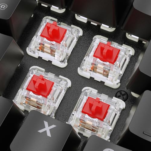 Sharkoon Skiller SGK36W Schwarz, RGB, 2,4 GHz-Drahtlos-Funkverbindung, Huano Rot Bild 3