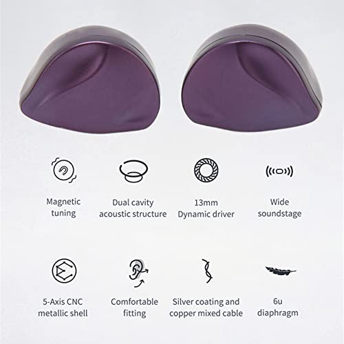 Sxhlseller In Ear Monitors Kopfhörer, HiFi Ohrhörer mit Kabel, 13 Mm Dual Cavity Dynamic Driver IEM Ohrhörer mit Abnehmbarem Kabel, Bass-, Normal- und Höhenmodi für Sänger, Musiker, (2.5) Bild 2