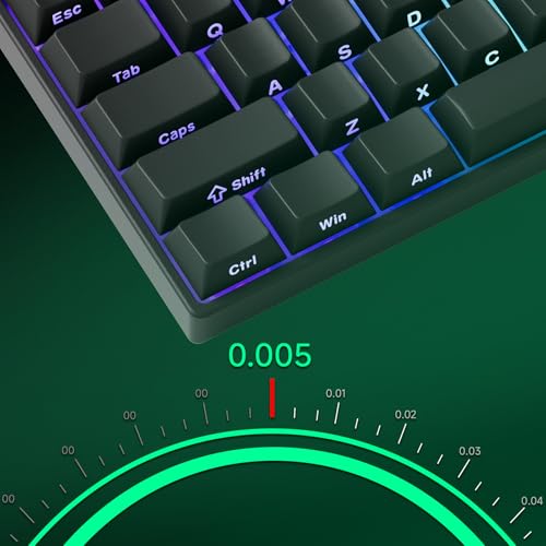 MONSGEEK FUN60 Pro Rapid Trigger Gaming-Tastatur, 8K SP Magnetschalter, HE-Tastatur, kabelgebunden, 60% durchscheinendes Schwarz (Glare Magnetschalter, US-QWERTY Layout) Bild 4