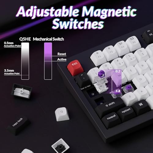 Keychron Q5 HE Wireless Custom Mechanical Tastatur, ANSI 96% Layout QMK/VIA Programmierbares Vollaluminium Bluetooth/Wired RGB Hot-Swapable Hall Effect Gateron Magn (Schwarz) Bild 4