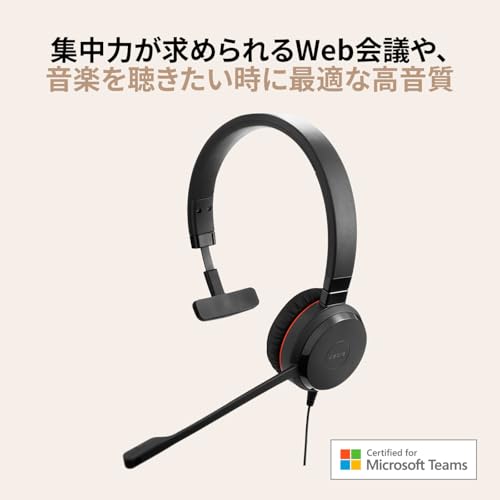 Jabra Evolve 20 SE Mono Headset - Microsoft Zertifizierte Kopfhörer für VoIP Softphone mit passiver Geräuschunterdrückung - USB-C/A - Schwarz Bild 2