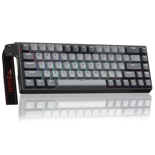 AULA WIN68HE Rapid Trigger Gaming Tastatur mit Kabel,Hall Effect Magnetic Switches,0,02mm RT-Genauigkeit,Einstellbare Betätigung,8000Hz,RGB,60% Mechanische Tastatur Bild 1