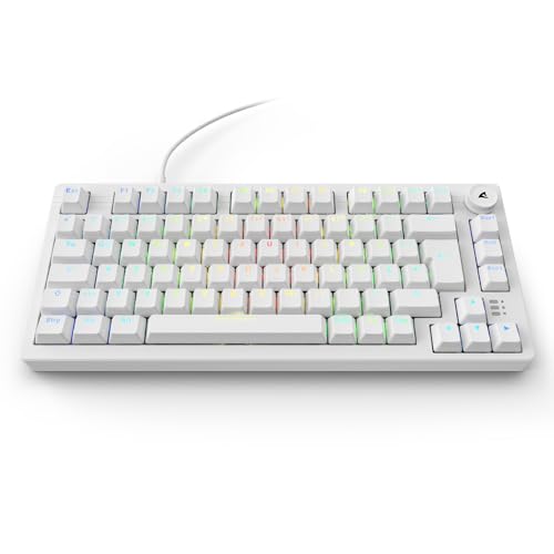 Sharkoon Skiller SGK25 RGB, Gaming Tastatur, 75% Layout, Hot Swap, Huano RED geschmierte Schalter, weiß Bild 6