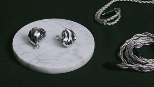 SABAJ TRN Shell kabelgebundene In-Ear Kopfhöre 3DD+1 Planar,3 wechselbare Düsen & HiFi Sound für Musik/Gaming (mit Mikrofon) Bild 2