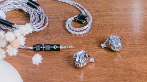 SABAJ TRN Shell kabelgebundene In-Ear Kopfhöre 3DD+1 Planar,3 wechselbare Düsen & HiFi Sound für Musik/Gaming (mit Mikrofon) Bild 3