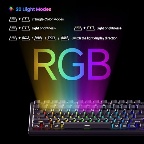 Akko TAC75 Rapid Trigger Gaming-Tastatur, kabelgebunden, Hall-Effekt-Magnetschalter, 75% US-Layout, 8.000 Hz Abtastrate, PBT-Tastenkappen für Mac/Windows (Schwarz glänzend, Glare Magnetschalter) Bild 5